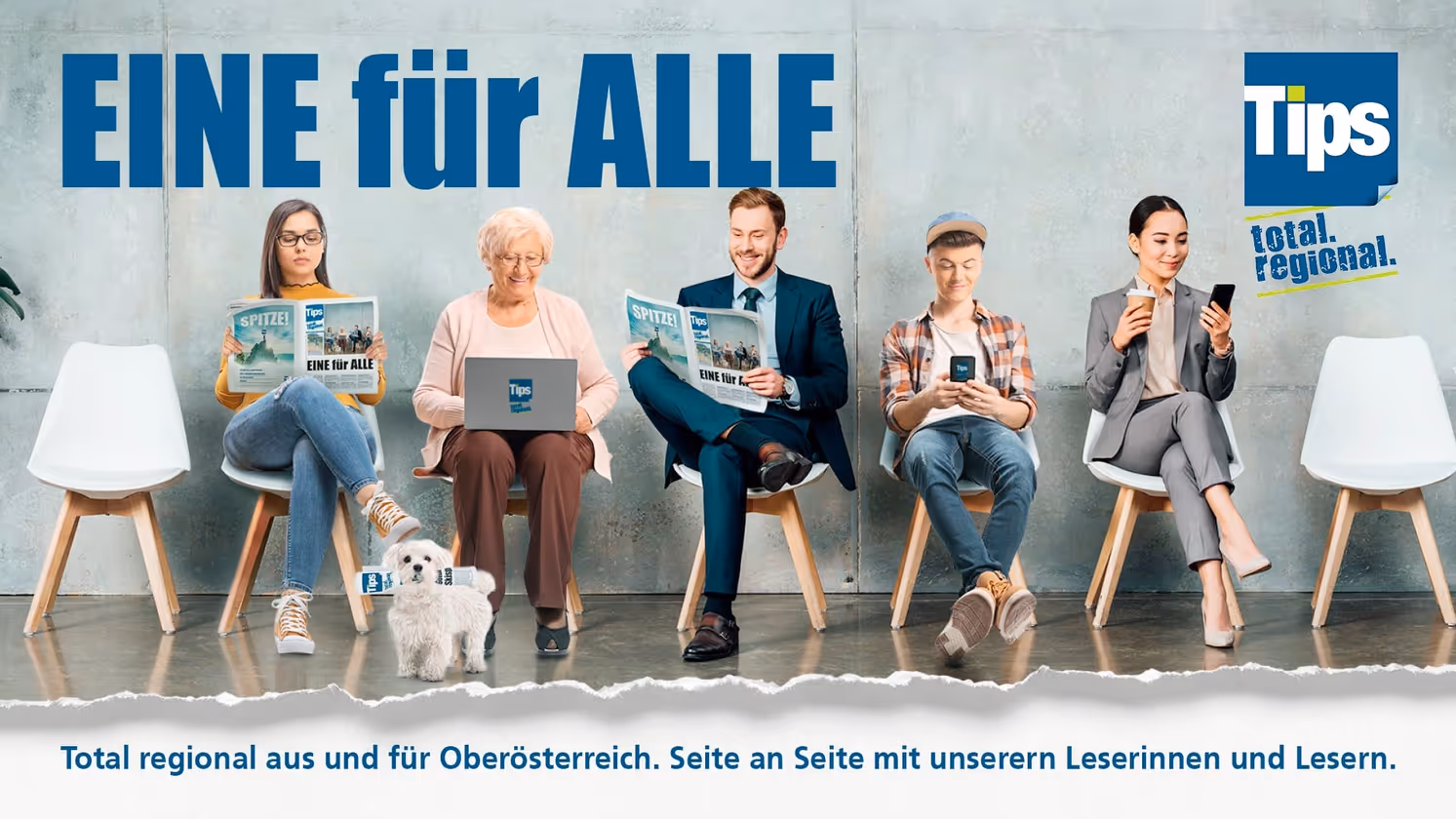 Mehrere Stückanzahl von Tips Jobpaket Premium – Bild 1