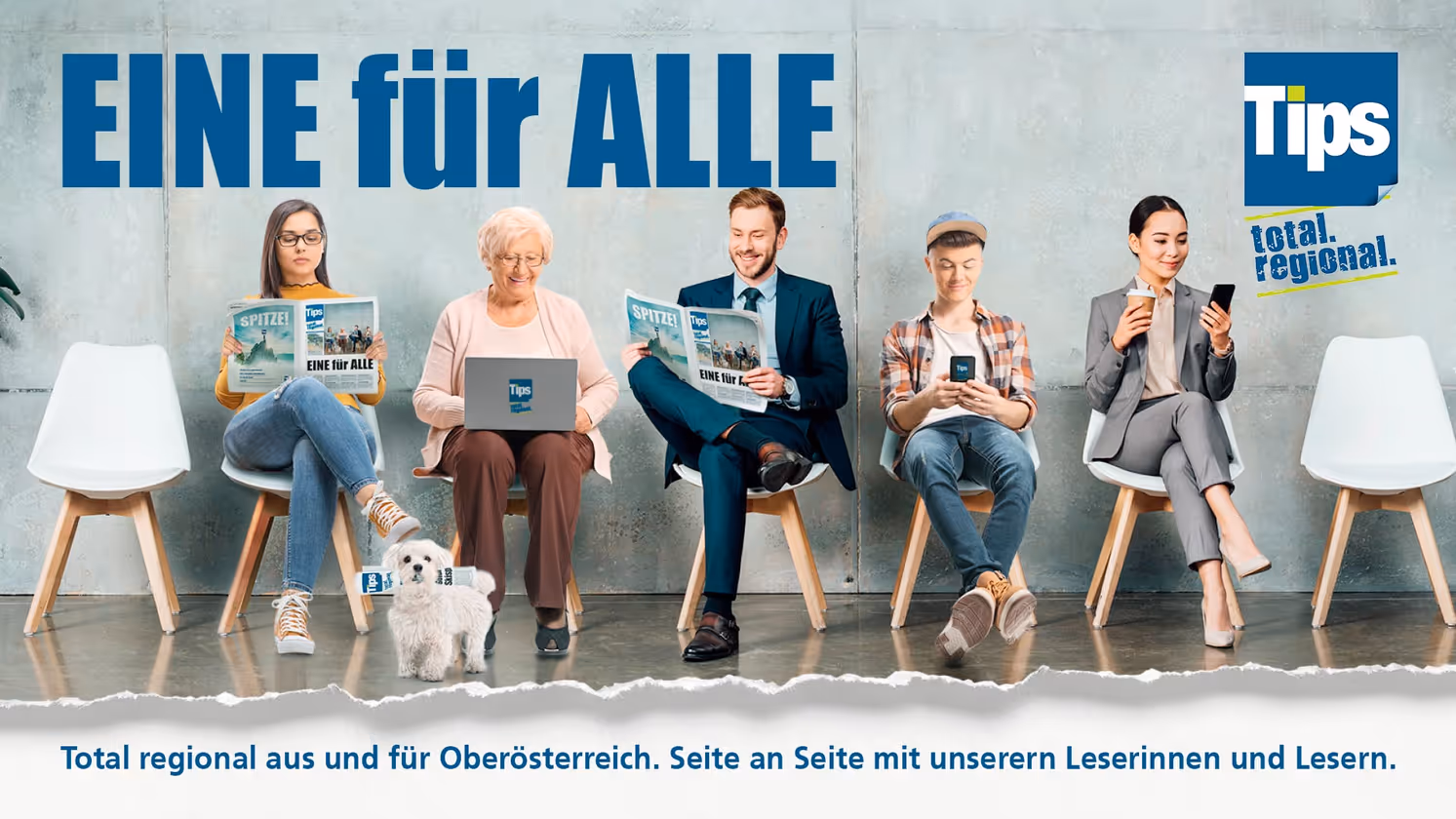 Mehrere Stückanzahl von Tips Local Hero – Bild 1